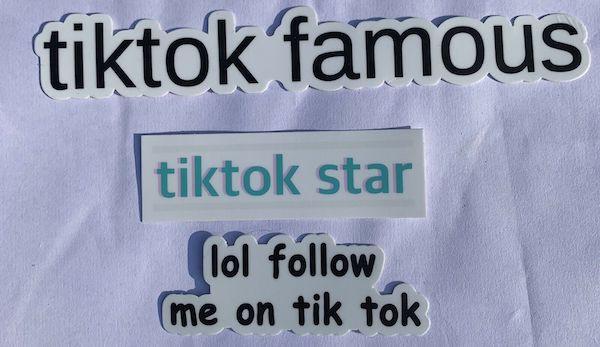 TikTok Entered the Social Realm